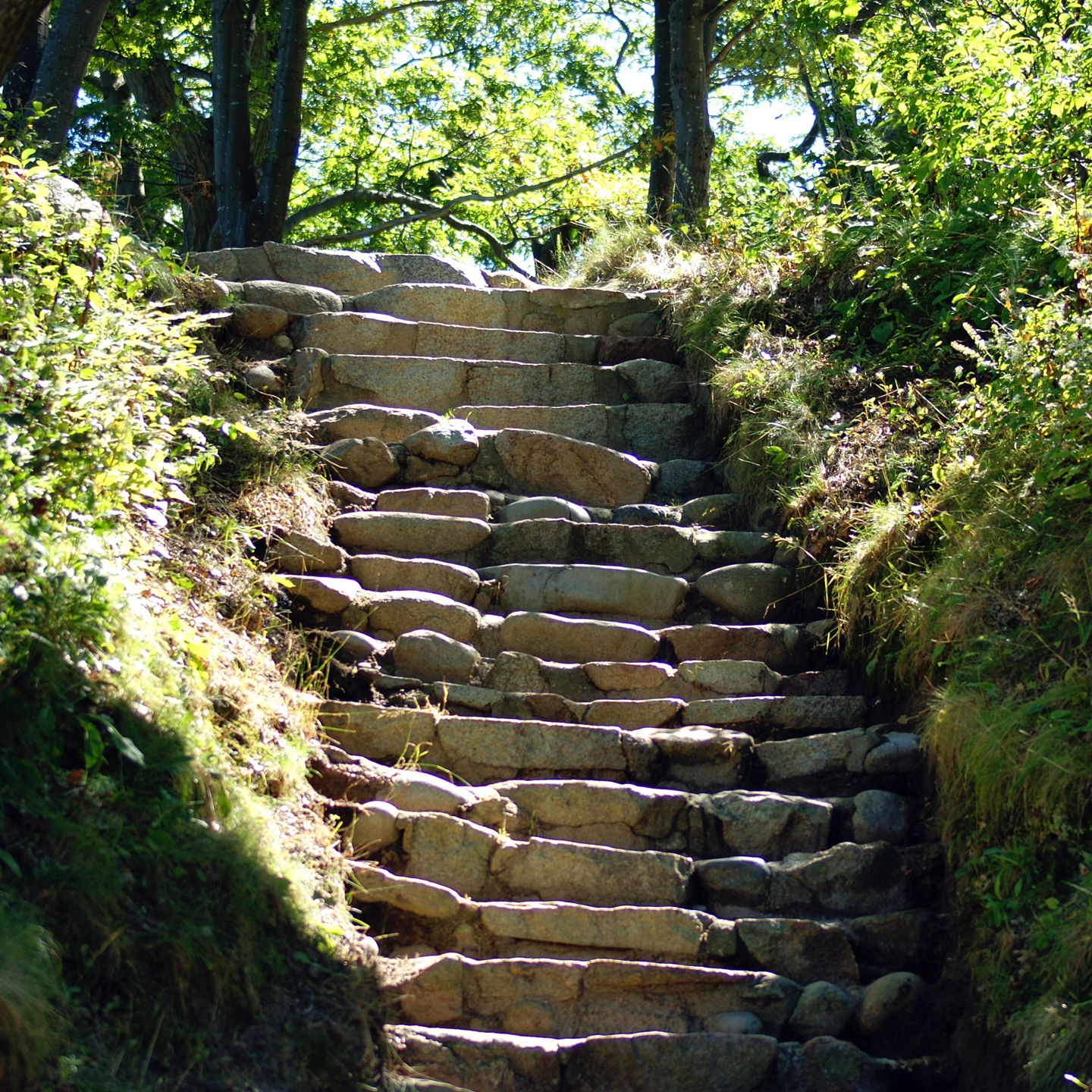 Natursteintreppe, gebaut von Spitzbarth Garten- und Landschaftsbau